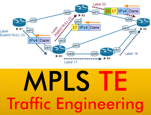 Nowy kurs – MPLS Traffic Engineering (TE)