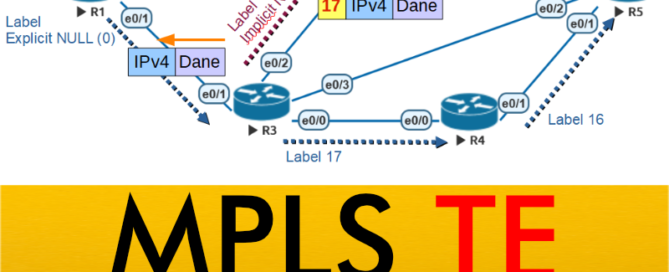 Kurs MPLS Traffic Engineering (TE)