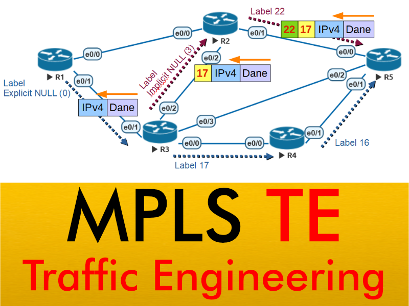 Kurs MPLS Traffic Engineering (TE)